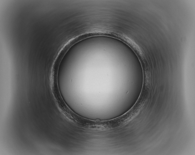 X0000115710580200911191251