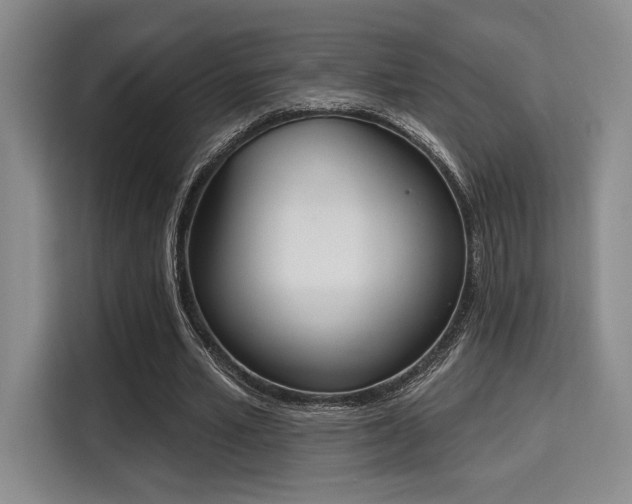 X0000115710581200911191251