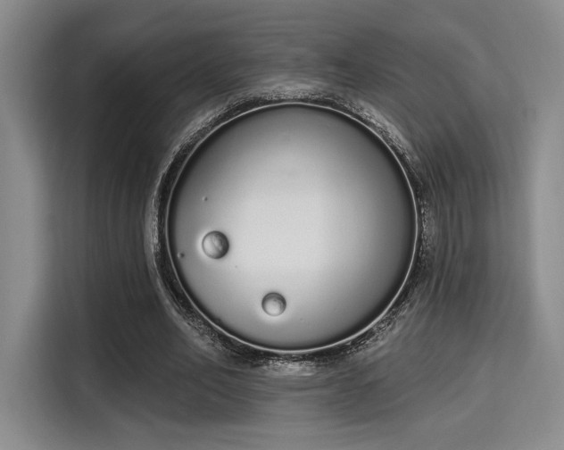 X0000115710582200911191251