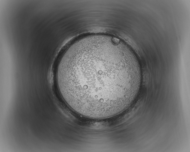 X0000115710584200911191251