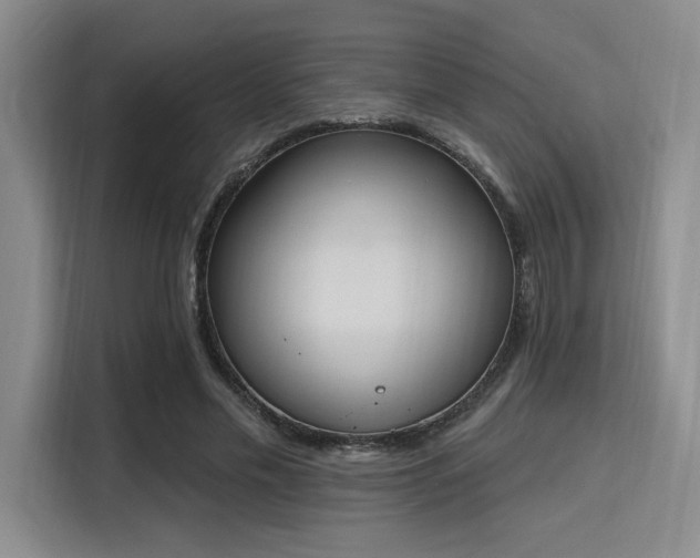 X0000115710589200911191251