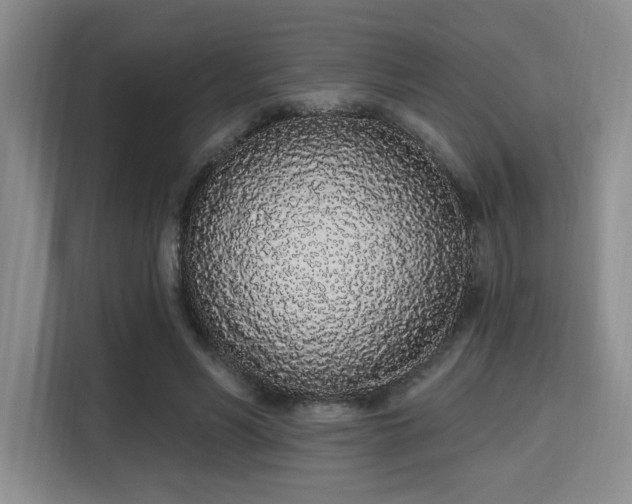 X0000115710590200911191251