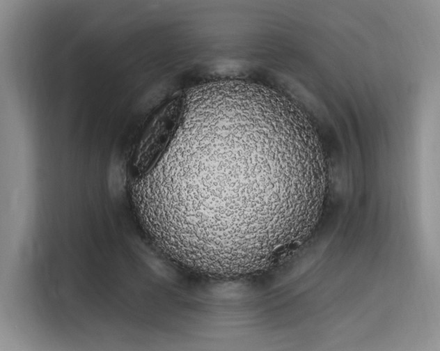 X0000115710593200911191251