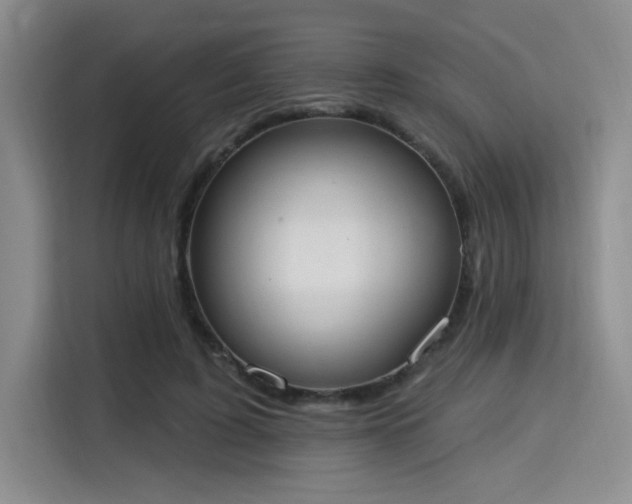 X0000115710595200911191251