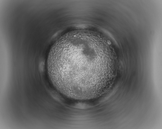 X0000115710596200911191251