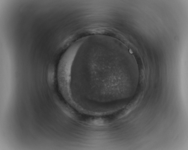 X0000115710600200911191251