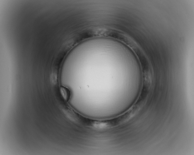 X0000115710602200911191251