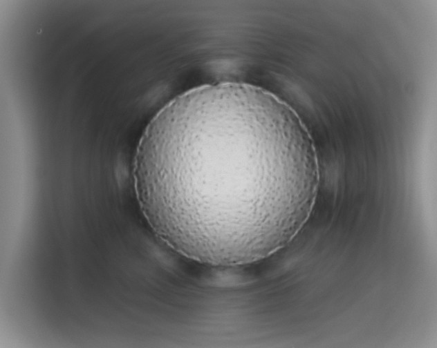 X0000115710618200911191251