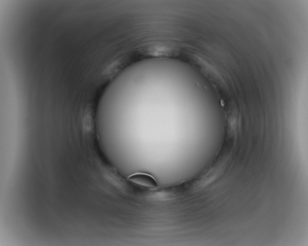 X0000115710620200911191251