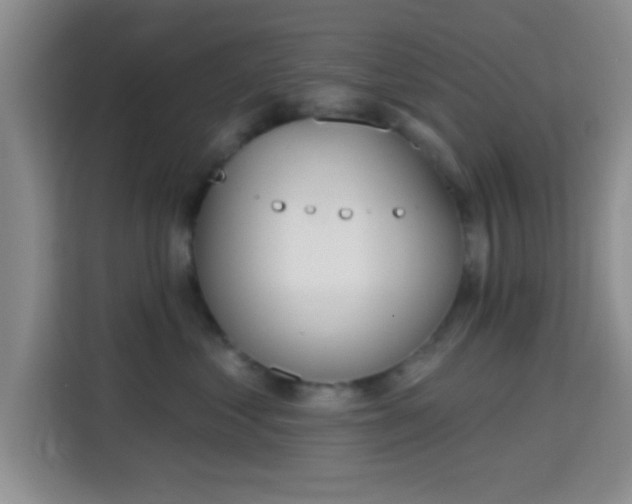 X0000115710621200911191251