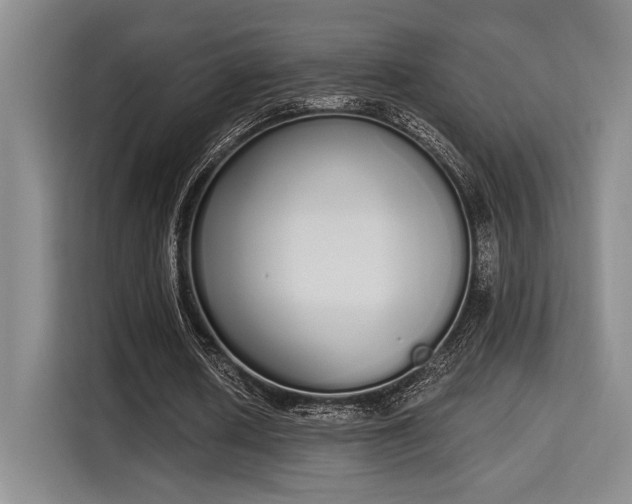 X0000115710626200911191250