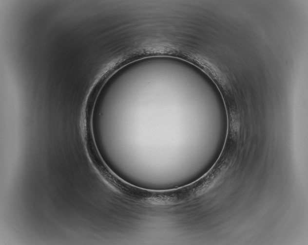 X0000115710630200911191250