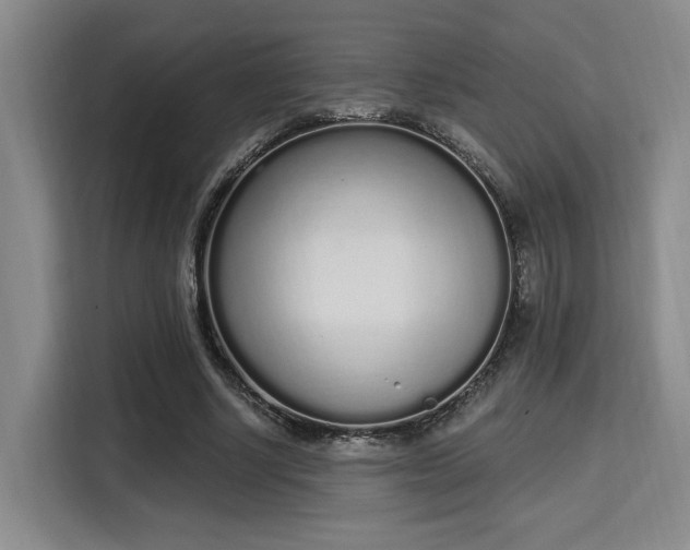 X0000115710634200911191250