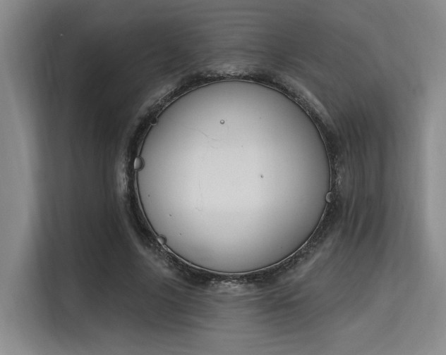 X0000115710635200911191250