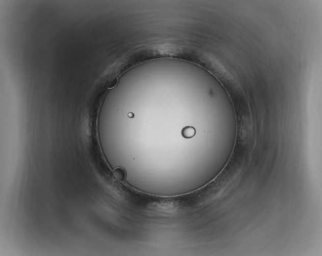 X0000115710639200911191250