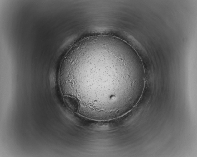 X0000115710640200911191250