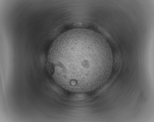 X0000115710659200911191250