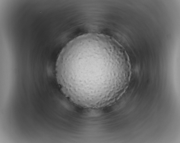 X0000115710663200911191251