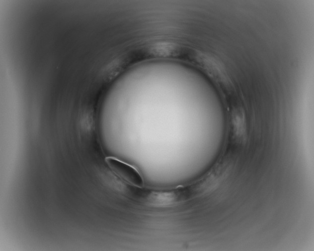 X0000115710665200911191251