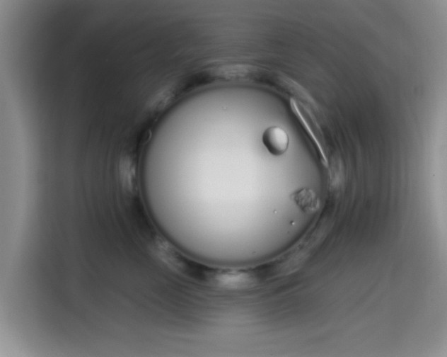 X0000115710669200911191251