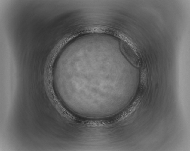 X0000115710673200911191250