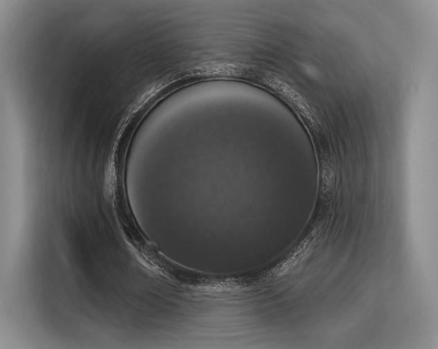 X0000115710674200911191250