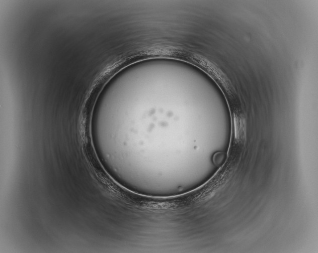 X0000115710675200911191250