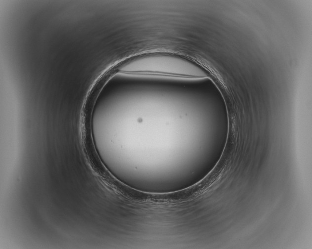 X0000115710676200911191250