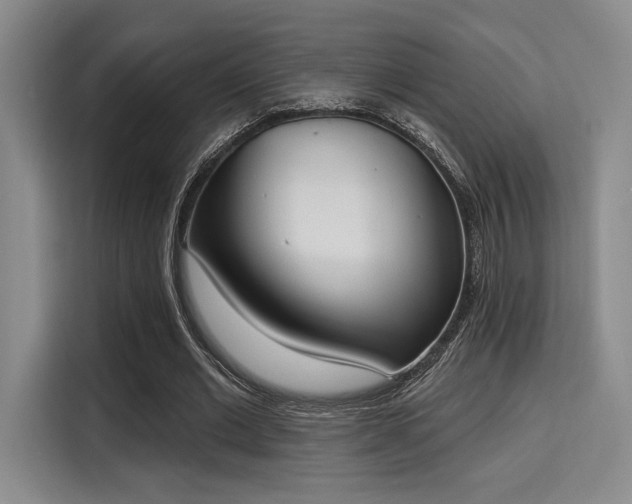 X0000115710677200911191250