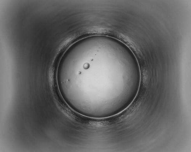 X0000115710679200911191250