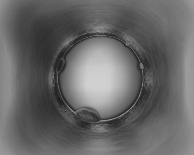 X0000115710680200911191250