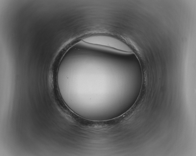 X0000115710684200911191250