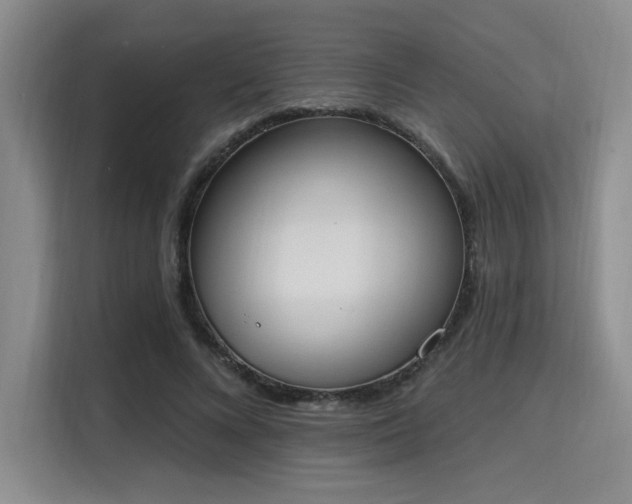 X0000115710688200911191250