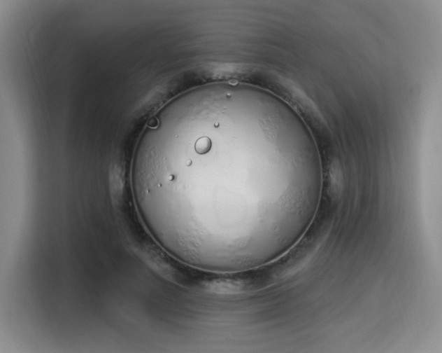 X0000115710691200911191250