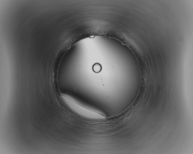 X0000115710693200911191250