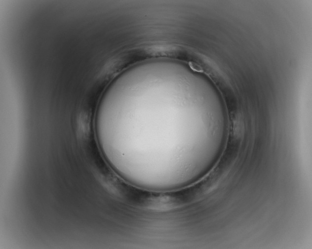 X0000115710695200911191250