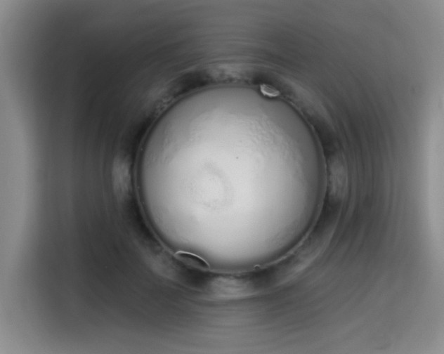 X0000115710699200911191250