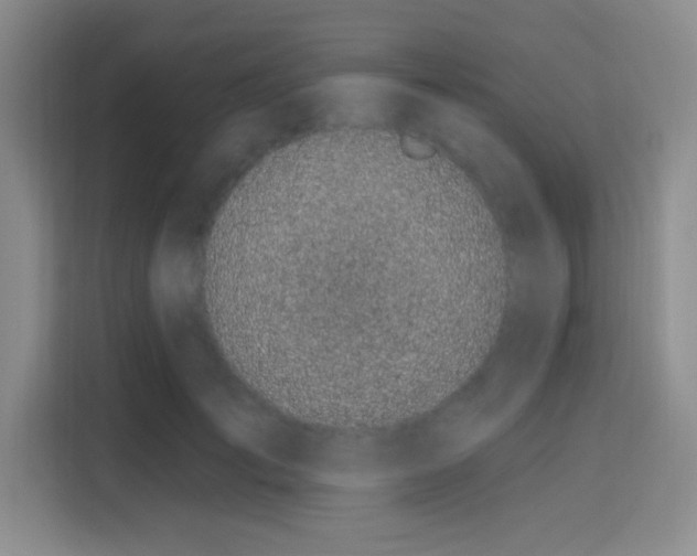 X0000115710701200911191250