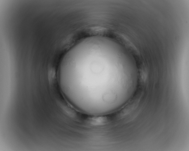 X0000115710711200911191250