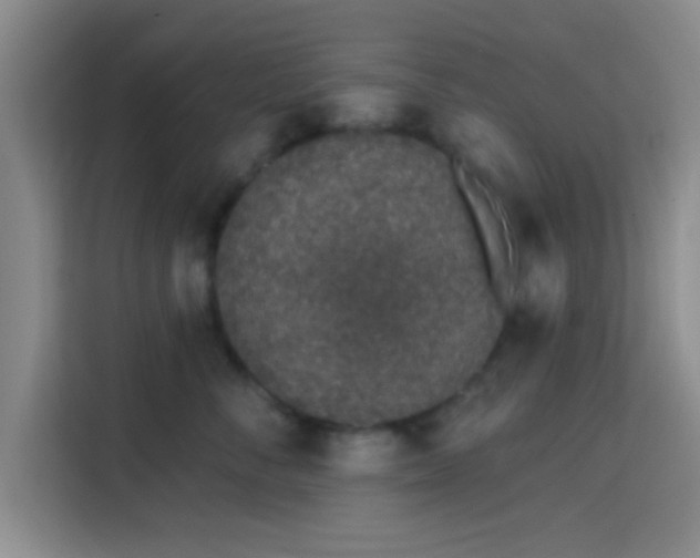 X0000115710716200911191249