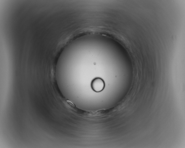 X0000115710720200911191249