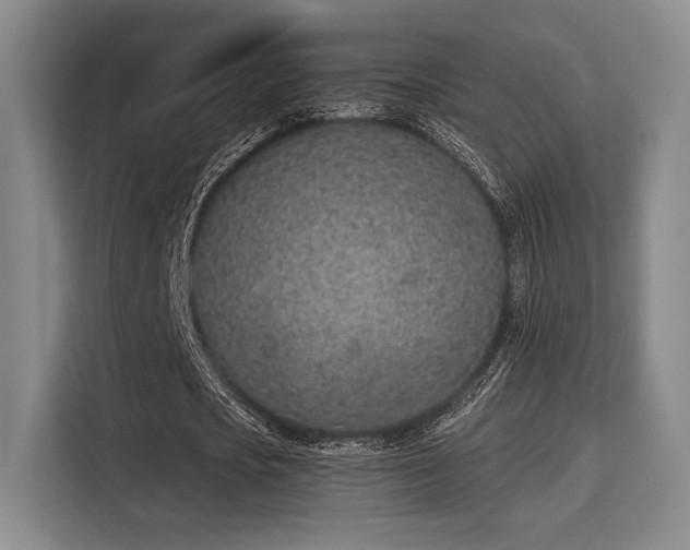 X0000115710721200911191249