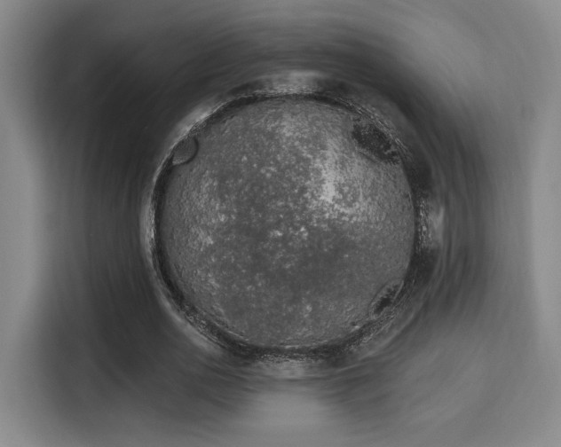 X0000115710726200911191249