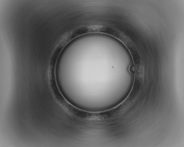 X0000115710738200911191249