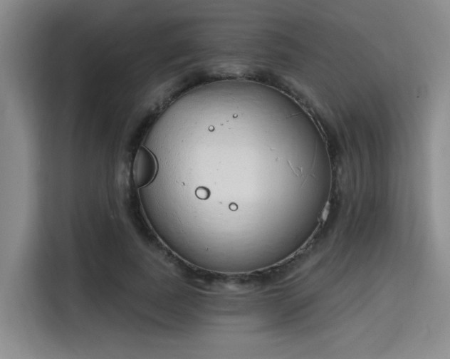 X0000115710739200911191249