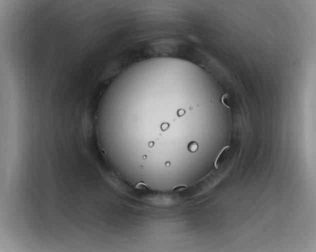 X0000115710751200911191249