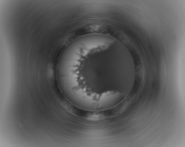 X0000115710754200911191249