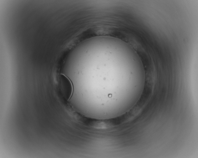 X0000115710755200911191249