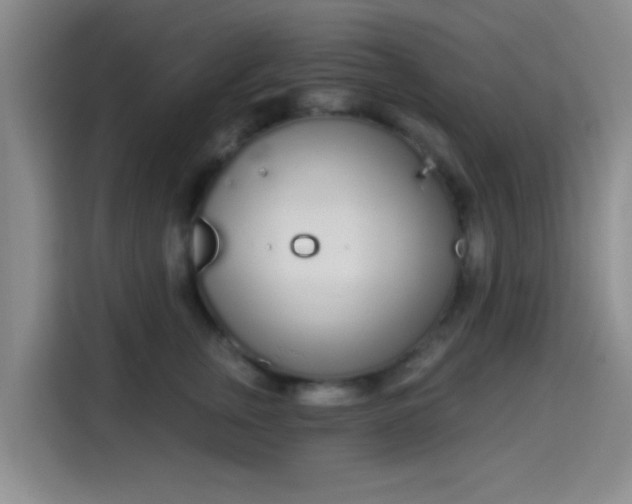 X0000115710759200911191249