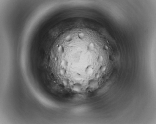 X0000115710765200911191249